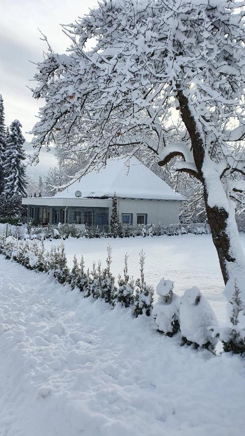 Bambu Lodge @ Ossiachersee 보덴스도르프 외부 사진