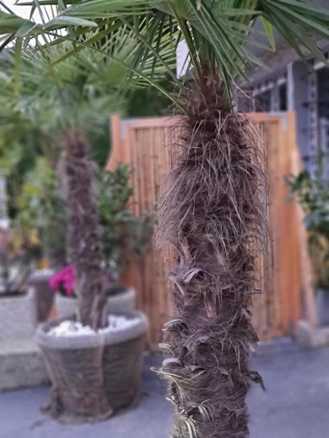 Bambu Lodge @ Ossiachersee 보덴스도르프 외부 사진